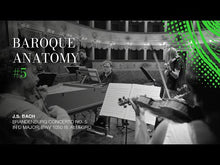 Load and play video in Gallery viewer, Baroque Anatomy #5